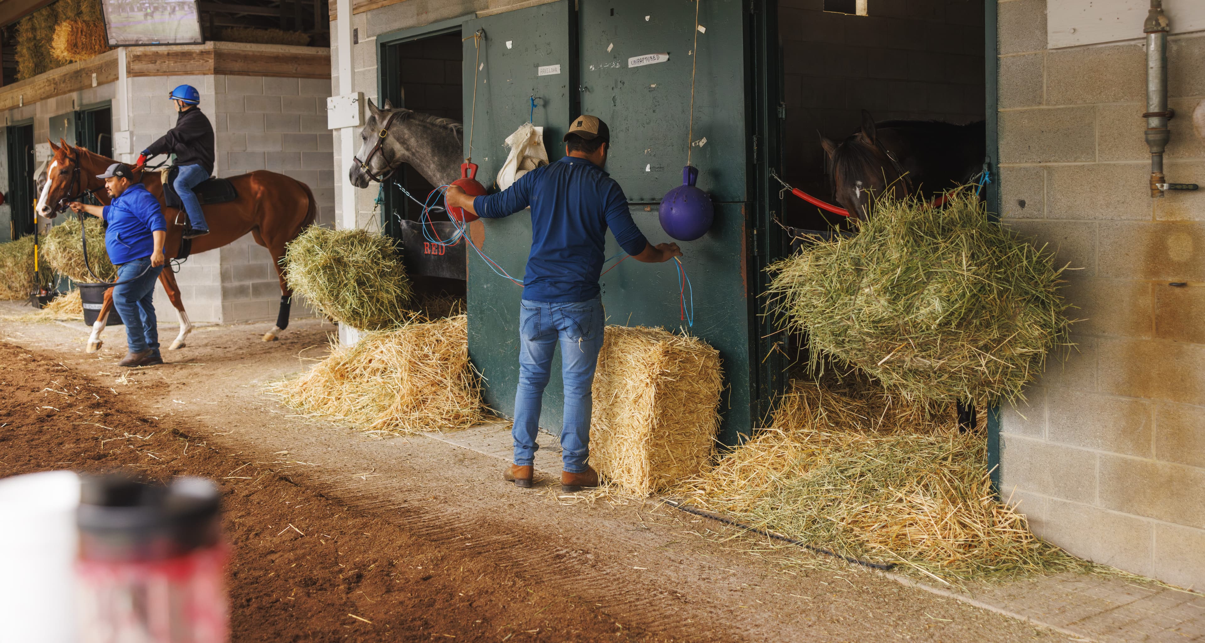 Horseracing Integrity and Safety Authority